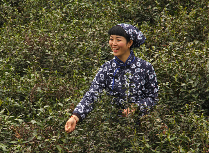 热门5